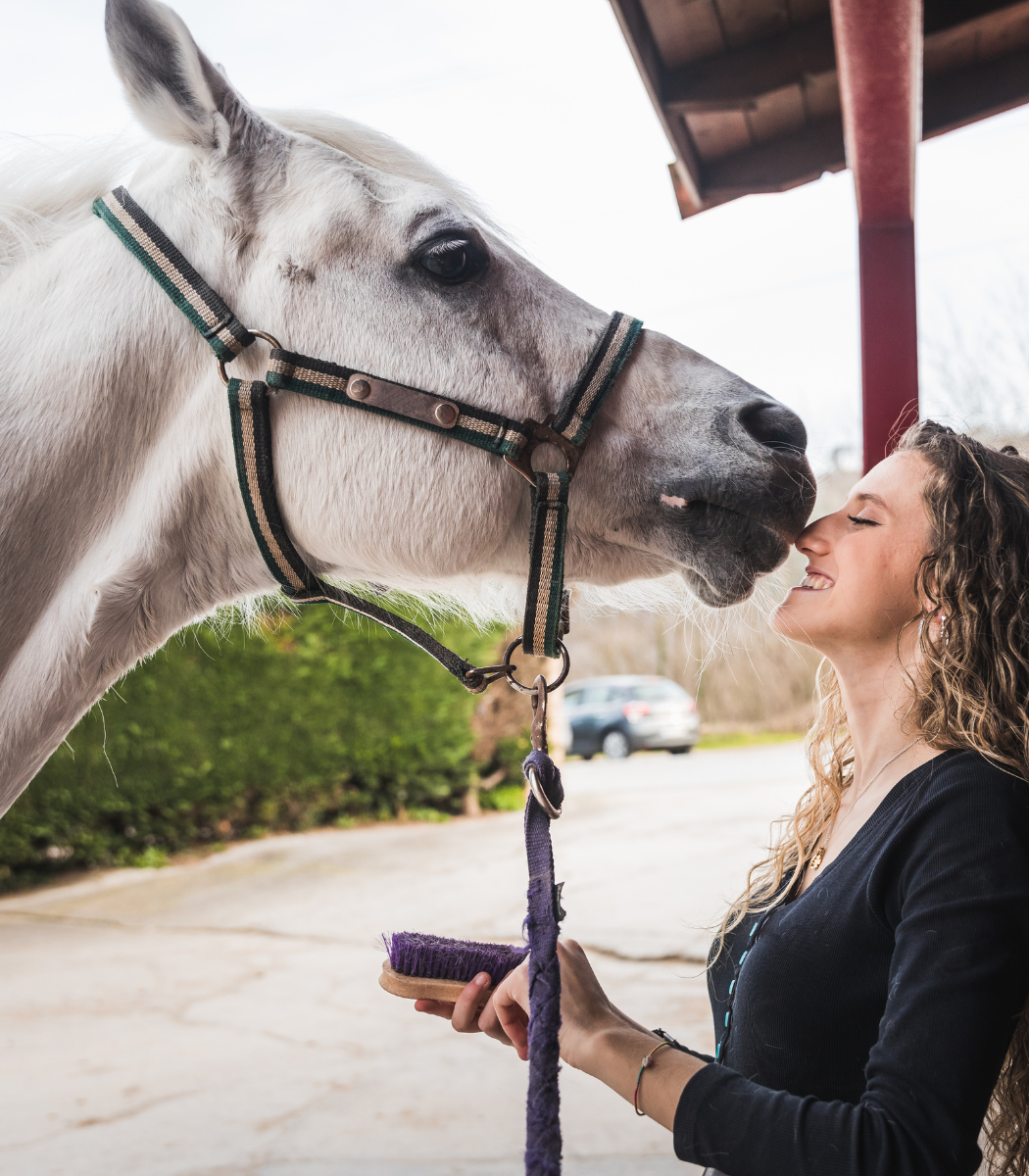 woman face to face with horse holding brush